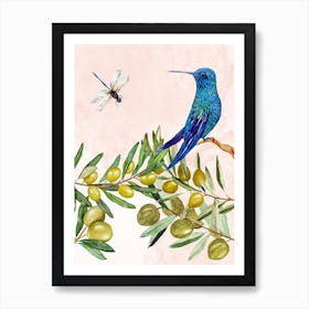 Hummingbird On Olive Branch Art Print