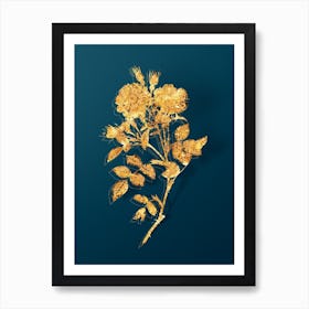 Vintage Queen Elizabeth's Sweetbriar Rose Botanical in Gold on Teal Blue n.0105 Art Print