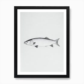 Mackerel Black & White Drawing Art Print