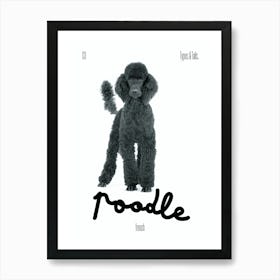 Poodle - Dog - French - Typography - Art Print - Retro - Canine - White & Black - Minimalist  Art Print