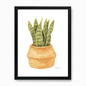Aloe vera plant. Green plant. Beautiful plant. Thorns plant. Aloe vera flowers.24 Art Print
