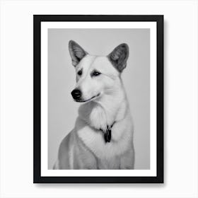 Canaan Dog B&W Pencil Dog Art Print