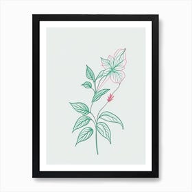 Peppermint Floral Minimal Line Drawing 4 Flower Art Print