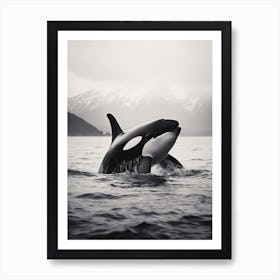 Misty Orca Whale And Mountain In The Distance Black & White Art Print
