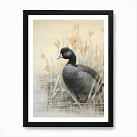 Vintage Bird Drawing Coot 2 Art Print