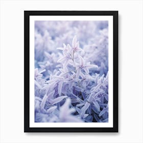 Frosty Botanical Lobelia 2 Art Print