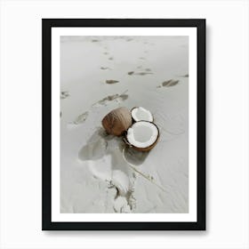 Coconuts On The Beach 1 Art Print