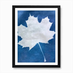 Maple Leaf Poster