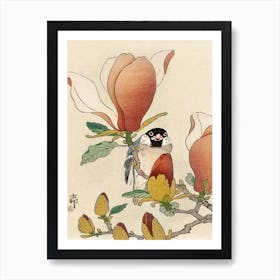 Sparrow On Blooming Magnolia Branch (1900 1930), Ohara Koson Art Print