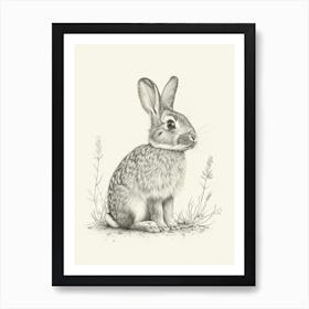 Britannia Petite Rabbit Drawing 3 Art Print