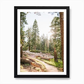 National Parks Yosemite Art Print