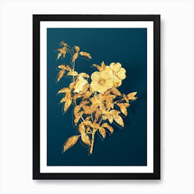 Vintage White Rose of Snow Botanical in Gold on Teal Blue n.0257 Art Print