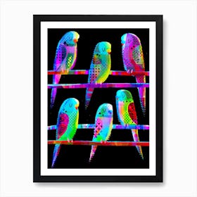 Sleeping Budgies Art Print