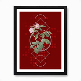 Vintage Pink Alpine Roses Botanical with Geometric Line Motif and Dot Pattern n.0173 Art Print