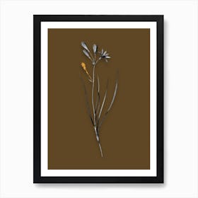 Vintage Amaryllis Montana Black and White Gold Leaf Floral Art on Coffee Brown n.0487 Art Print
