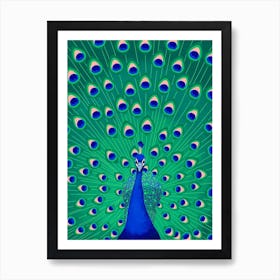 Vibrant Peacock  Art Print