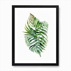 Boston Fern Watercolour Art Print