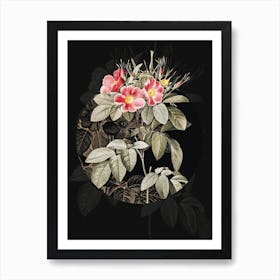 Vintage Botanical Blooming Pasture Rose on Circle Black on Black n.0023 Art Print