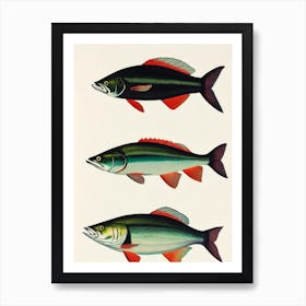 King Mackerel Vintage Poster Art Print