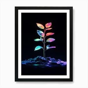 Plant In The Dark 6 Art Print