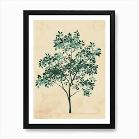 Paulownia Tree Minimal Japandi Illustration 1 Art Print