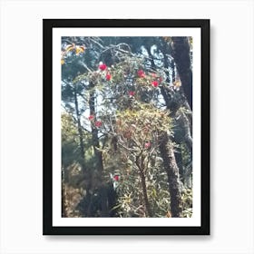 Rhododendrons In A Forest 2 By Binod Dawadi Art Print