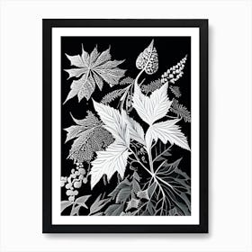 Elderberry Leaf Linocut 1 Art Print