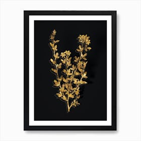 Vintage Yellow Jasmine Flowers Botanical in Gold on Black n.0246 Art Print