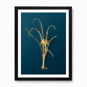 Vintage Grass Leaved Iris Botanical in Gold on Teal Blue n.0291 Art Print