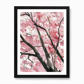 Cherry Blossoms 4 Art Print