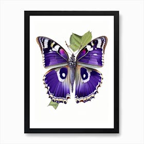 Purple Emperor Butterfly Decoupage 1 Art Print