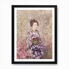 A Geisha And Cherry Blossom Art Print