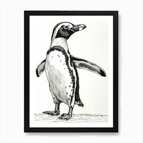 African Penguin Standing On Tiptoes 3 Art Print