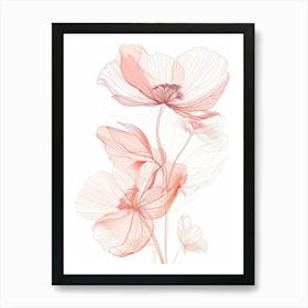 Poppy Flowers Art Print