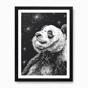 Giant Panda Looking At A Starry Sky Ink Illustration 3 Art Print