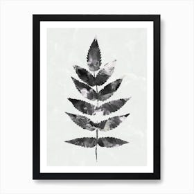 Black White Botanical Watercolour Leave Art Print