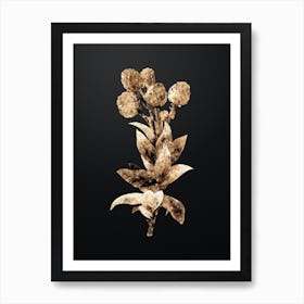 Gold Botanical Cudweeds on Wrought Iron Black Art Print