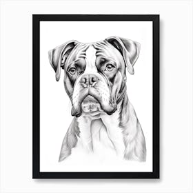 Boxer Dog, Line Drawing 3 Art Print