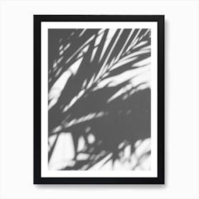 Shadows Of Palm Leaves Art Print