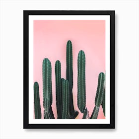 Saguaro Art Print