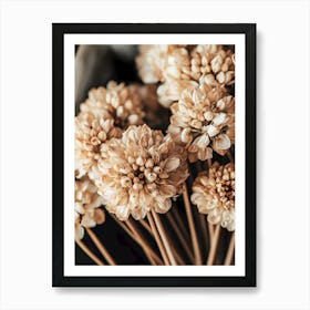 Bouquet Of Dried Flowers Art Print