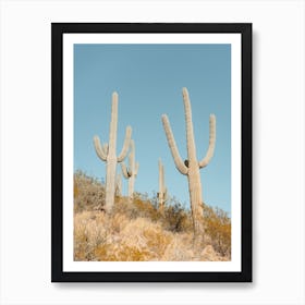 Saguaro Cactus Desert Arizona Southwest Landscape Nature Photography Art Print