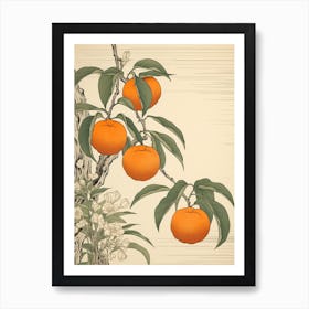 Tachibana Mandarin Orange 22 Vintage Japanese Botanical Art Print