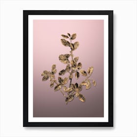 Gold Botanical Italian Buckthorn on Rose Quartz n.2880 Art Print