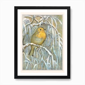 Robin On Snowy Tree Branch, Theo Van Hoytema Art Print