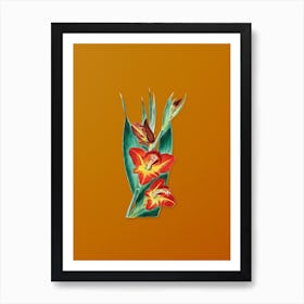 Vintage Parrot Gladiole Flower Botanical on Sunset Orange n.0088 Art Print