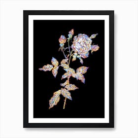 Stained Glass Provence Rose Mosaic Botanical Illustration on Black n.0047 Art Print