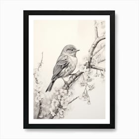 Bird Ivory Pencil Sketch Drawing Nature Spring Elegant Vintage Ephemera Journal Art Print