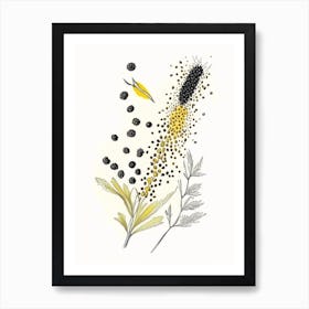 Black Mustard Seed Spices And Herbs Pencil Illustration 1 Art Print