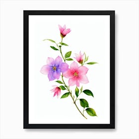 Jasmine 2 Watercolour Flower Art Print